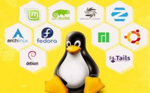 10 Distribusi Linux Terpopuler Tahun 2023